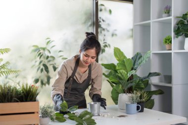 Genç bir kadın kapalı alanda küçük bir bahçe yetiştiriyor, modern bir odada saksı bitkileri düzenliyor, kentsel yeşil yaşamı kucaklıyor..