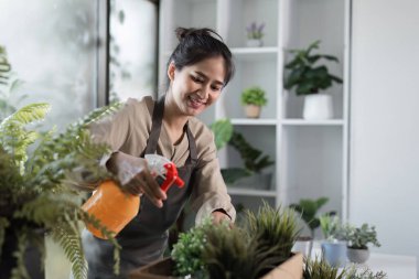 Genç bir kadın kapalı alanda bahçesiyle ilgilenir, modern bir odada ev bitkilerini yetiştirir, rahatlama ve yeşil yaşamı teşvik eder..