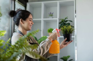 Modern bir ev ortamında yemyeşil ev bitkileriyle çevrili, kapalı bahçesiyle mutlu mesut ilgilenen genç bir kadın..