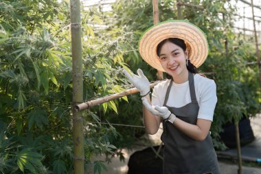 Güneş şapkası ve önlüğü takan neşeli bir kadın çiftçi, seradaki bitkilerle ilgileniyor, sürdürülebilir tarım ve organik çiftçilik sergiliyor..
