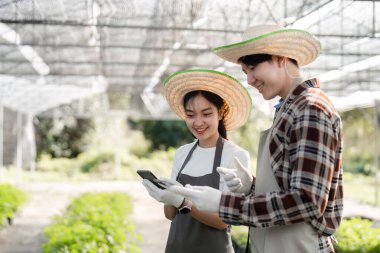 Bir serada bitki ve kenevir yetiştiren modern bir çiftçi çifti sürdürülebilir tarım ve takım çalışması sergiliyor..