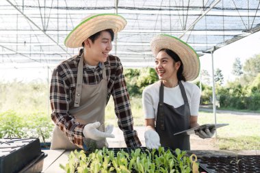Serada bitki ve kenevir yetiştiren neşeli bir çift sürdürülebilir bahçıvanlık ve organik yaşam tarzını sergiliyor..