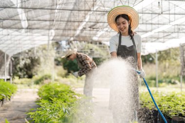 Kenevir bahçesinde birlikte çalışan çift sera ortamında sürdürülebilir ve organik bahçe teknikleri sergiliyor..