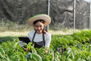 Tarımsal görevleri yönetmek için tablet kullanan genç bir kadın tarımda modern teknolojiyi sergiliyor..