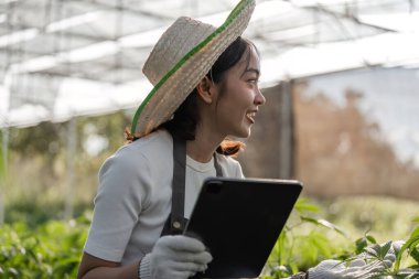 Neşeli bir bahçıvan bitki sağlığını yemyeşil ve seranın içinden süzülen güneş ışığıyla çevrili bir tablet kullanarak inceliyor..
