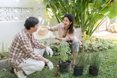 Güneşli arka bahçelerinde bahçenin keyfini çıkaran çeşitli bir çift, saksı bitkileri ve yeşilliklerle çevriliyken gülüyor ve şapkalarını paylaşıyorlar..