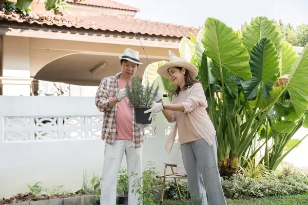Bahçe işleriyle uğraşan farklı bir çift, canlı arka bahçelerinde birbirlerine eşlik ederken bir saksı bitkisini paylaşmaktan mutluluk duyarlar..