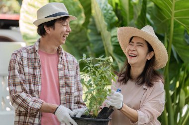 Yaşlı bir Asyalı çift bahçelerinde canlı yeşilliklerle çevrili bir saksı otunu tutarken neşeyle gülüyor..