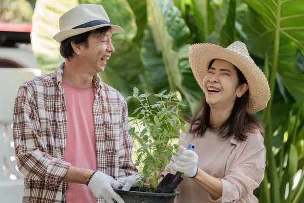 Yaşlı bir Asyalı çift bahçelerinde canlı yeşilliklerle çevrili bir saksı otunu tutarken neşeyle gülüyor..