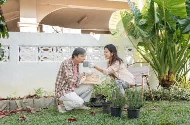 Bahçelerinde bahçeyle uğraşan farklı bir çift, neşeli bir anı paylaşıyorlar. Bir tanesi saksı bitkilerinin yanında hasır bir şapkayla neşe içinde el kol geziyor..