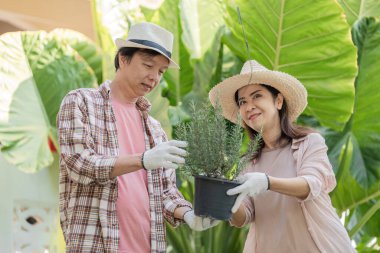 Yaşlı bir Asyalı çift birlikte neşeyle bahçeyle uğraşıyorlar, açık ve güneşli bir alanda yemyeşil otlarla çevrili saksılara otlar ekiyorlar..