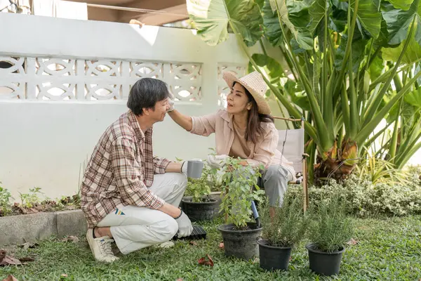 Güneşli arka bahçelerinde bitkileri besleyen, hassas anları paylaşan ve yemyeşil ortamda birbirlerine eşlik eden farklı bir çift..