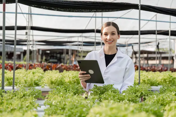 Araştırmacılar, sürdürülebilir bahçıvanlık uygulamaları ve tarımsal yenilikler üzerinde yoğunlaşarak, bir serada bitki büyümesini inceliyorlar..