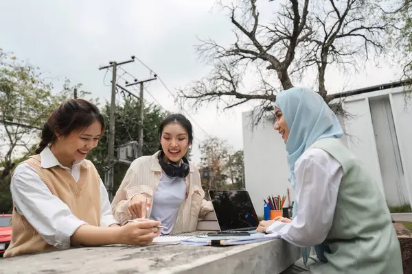 Çeşitli üniversite öğrencilerinden oluşan bir grup açık havada akademik görevler için keyifle işbirliği yapıyor, bir dizüstü bilgisayar kullanıyor ve notlarını ve fikirlerini paylaşıyor..