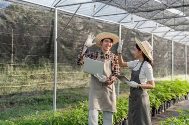 İki gülen bahçıvan, verimli bir serada dizüstü bilgisayarlarını tutarken birbirlerine el sallıyor, takım çalışmalarını ve esrar yetiştirme hevesini vurguluyorlar..