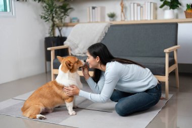 Genç bir kadın Corgisiyle hassas bir anı paylaşmak için diz çöker. Evcil hayvanlarla sahipleri arasındaki sevgiyi gösterir..