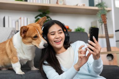 Bir kadın, evcil hayvan dostu bir çalışma alanında akıllı telefonunu kullanarak, evcil hayvanlarıyla sahipleri arasındaki bağı gösteren, Corgisiyle neşeli bir anı paylaşıyor..