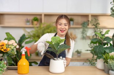 Kapalı alandaki bitkileriyle ilgilenen neşeli bir kadın canlı bir ortamda bahçe ve bitki bakımına olan sevgisini sergiliyor..