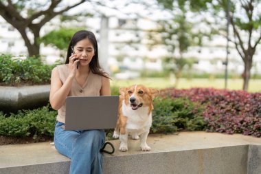Genç bir kadın, dizüstü bilgisayarı ve parktaki telefonu üzerinde Corgi köpeği olan bir kadın. Görüntü, iş ve evcil hayvan arkadaşlığının karışımını gözler önüne seriyor.