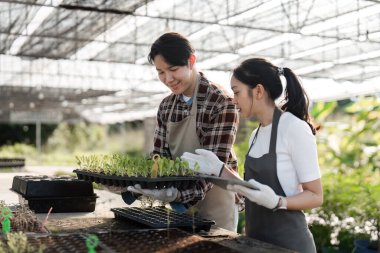 Bir serada bitki ve kenevir yetiştiren modern bir çiftçi çifti sürdürülebilir tarım ve takım çalışması sergiliyor..