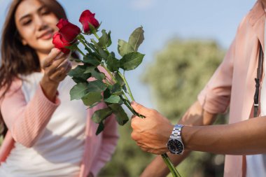 Sevgililer Günü 'nde güzel bir park ortamında aşk ve sevgiyi simgeleyen bir çift gül değiş tokuşu yapıyor..