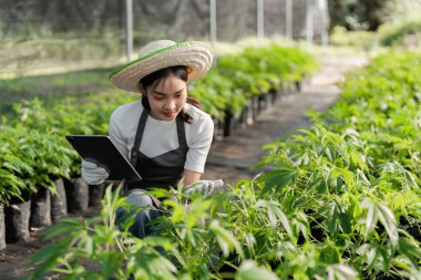 Genç bir kadın, sera ortamında sürdürülebilir uygulamalar sergileyerek bitkisel bir bahçe oluşturmak için modern teknolojiyi kullanıyor..