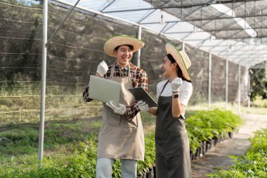 Bir çift, serada bitki yetiştirmek için modern teknolojiyi kullanıyor. Tarımda yenilik sergiliyorlar..