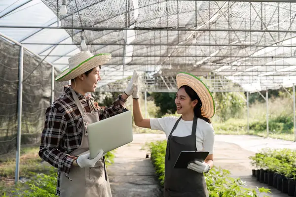 Bir çift, serada bitki yetiştirmek için modern teknolojiyi kullanıyor. Tarımda yenilik sergiliyorlar..