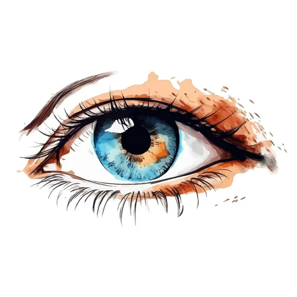 美しい現実的な女性の目 白い背景にかわいい絵の目 水彩画の目を手描き ベクターイラスト — ストックベクタ