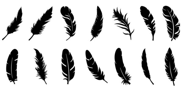 Feather icons. Set of black feather icons isolated on white background. Feather silhouettes. Vector illustration