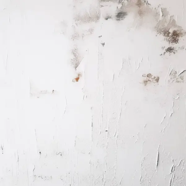 Vieux Fond Mur Fond Clair Abstrait Texture Liquide Illustration Vectorielle — Image vectorielle