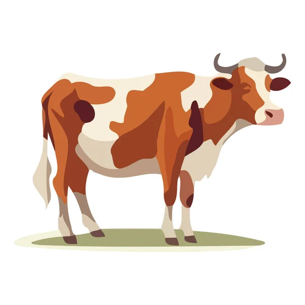 Krásný Obraz Krávy Pěkná Kreslicí Kráva Kráva Plochém Stylu Vektorová — Stockový vektor