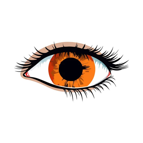 Schöne Realistische Weibliche Auge Nette Zeichnung Auge Auf Weißem Hintergrund — Stockvektor