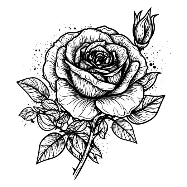 Rose Silhouette Leaves Isolated Flower Image Vector Illustration — Stock Vector