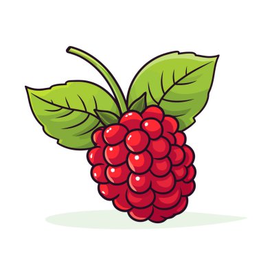 Ahududu resmi. İzole edilmiş ahududu hoş bir görüntü. Vektör çizimi. Üretilmiş Yapay Zeka