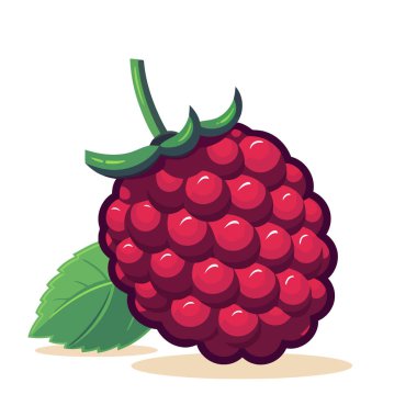 Ahududu resmi. İzole edilmiş ahududu hoş bir görüntü. Vektör çizimi. Üretilmiş Yapay Zeka