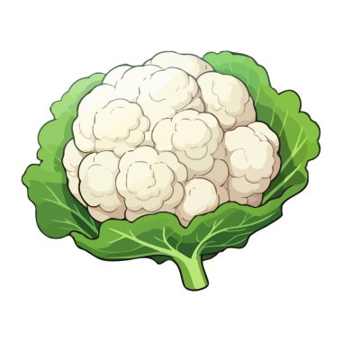 Karnabahar resmi. Karnabahar 'ın şirin bir görüntüsü. Vektör çizimi. Üretilmiş Yapay Zeka