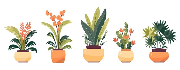 Yeşili Bitkiler Çiçekler Dekorasyon Için Moda Bitkileri Seti Vektör Çizimi — Stok Vektör