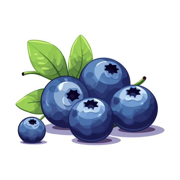 Citra Blueberry Gambar Yang Lucu Dari Blueberry Yang Terisolasi Vektor - Stok Vektor