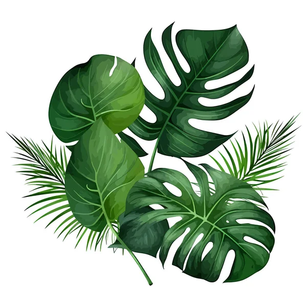 Tropischer Hintergrund Mit Palmblättern Und Monstera Blatt Botanischer Hintergrund Vektorillustration — Stockvektor