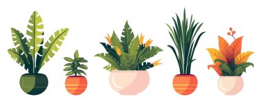 Ev yeşili bitkiler ve çiçekler. Dekorasyon için moda ev bitkileri seti. Vektör çizimi. Üretilmiş Yapay Zeka