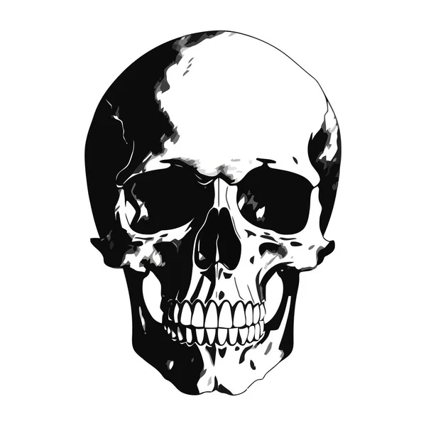 Silhouette Crâne Humain Image Isolée Crâne Noir Illustration Vectorielle — Image vectorielle