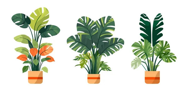 Yeşili Bitkiler Çiçekler Dekorasyon Için Moda Bitkileri Seti Vektör Çizimi — Stok Vektör