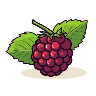 Ahududu resmi. İzole edilmiş ahududu hoş bir görüntü. Vektör çizimi. Üretilmiş Yapay Zeka