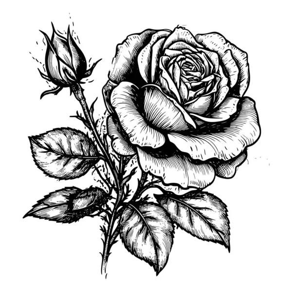 Silhouette Rose Avec Feuilles Image Fleur Isolée Illustration Vectorielle — Image vectorielle