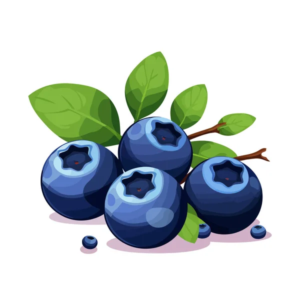 Citra Blueberry Gambar Yang Lucu Dari Blueberry Yang Terisolasi Vektor - Stok Vektor