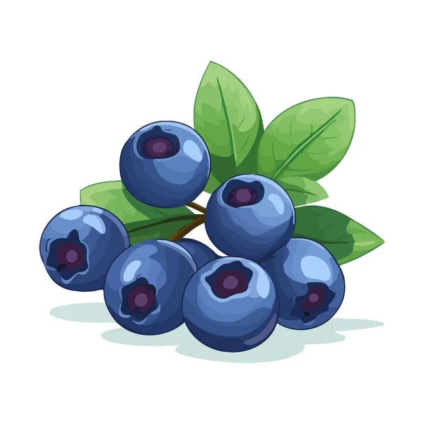 Citra Blueberry Gambar Yang Lucu Dari Blueberry Yang Terisolasi Vektor - Stok Vektor