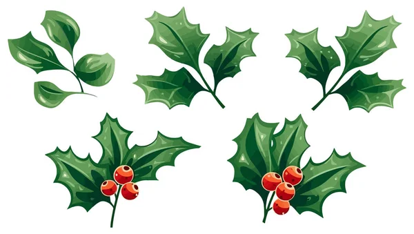 Χριστουγεννιάτικα Μούρα Φύλλα Χριστουγεννιάτικα Φυτά Χριστουγεννιάτικα Στολίδια Εικονογράφηση Διανύσματος Παραγωγή — Διανυσματικό Αρχείο