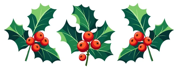 Baya Acebo Navidad Con Hojas Plantas Navidad Decoraciones Navideñas Ilustración — Archivo Imágenes Vectoriales