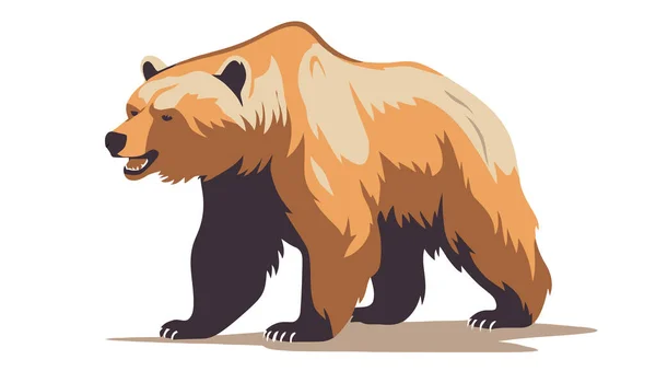 Medvídku Grizzly Obrázek Roztomilého Chodícího Medvěda Grizzlyho Izolovaného Bílém Vektorová — Stockový vektor